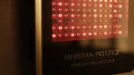 Meridian Prestige — Red Light Therapy Panel - Image 3